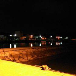 泉南中アジ調査でランガン