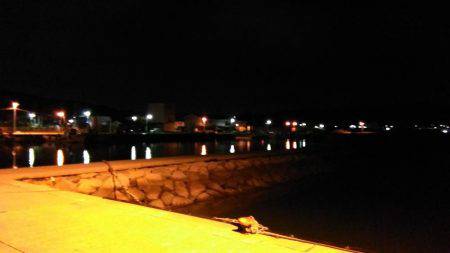 泉南中アジ調査でランガン