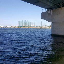 武庫川ハゼ調査2016