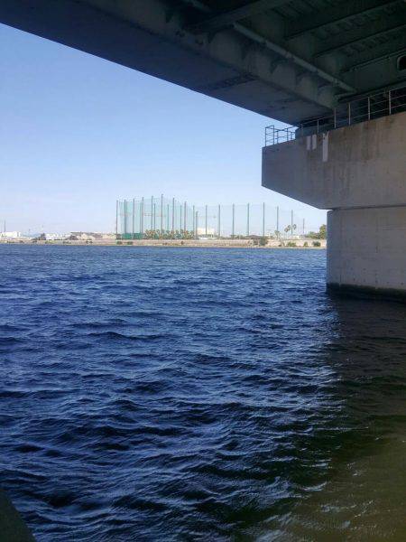 武庫川ハゼ調査2016