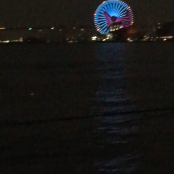 タチウオ激しぶ