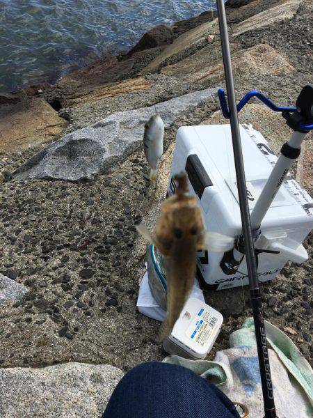 秋晴れ癒しハゼ(^o^)