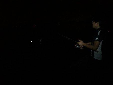 アオリイカのつもりが