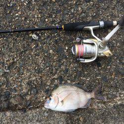 たくさん釣れました！