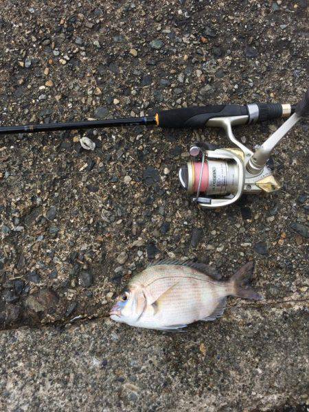 たくさん釣れました！