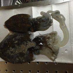 さ、寒かった…地元唐尾漁港にて