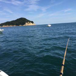 鯛、ハマチ、鯵、家島〜小豆島