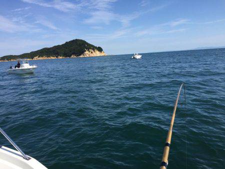 鯛、ハマチ、鯵、家島〜小豆島