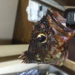 ３時間遊べたよ