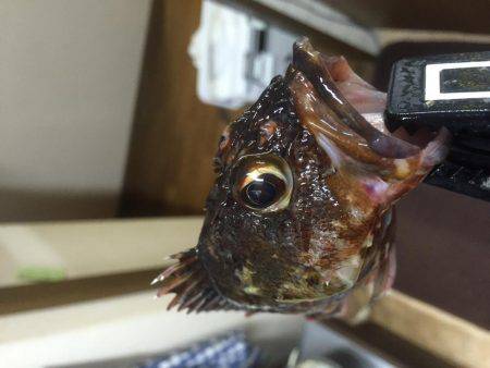 ３時間遊べたよ