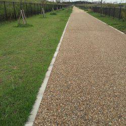 剣先釣れました〜