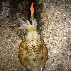 満足サイズが出ない！？