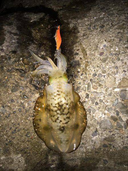 満足サイズが出ない！？