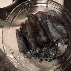 謎のサイズダウン数釣り