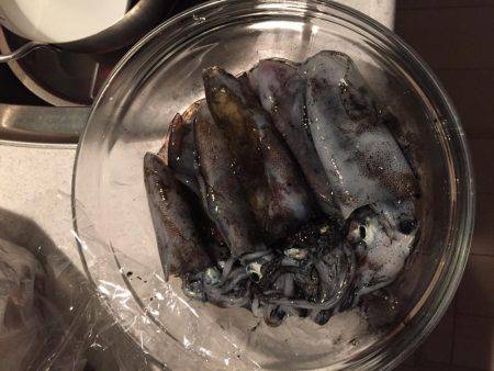 謎のサイズダウン数釣り