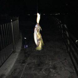 百海サーフで…