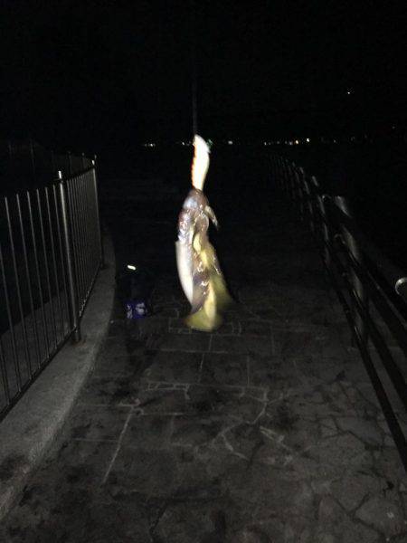 百海サーフで…