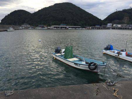 常夜灯周りでアジング