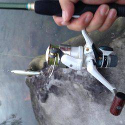 セイゴメッキ遊び