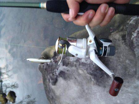 セイゴメッキ遊び