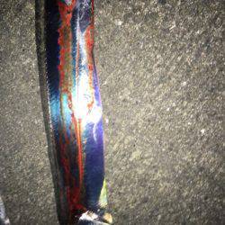 南芦屋浜タチウオ