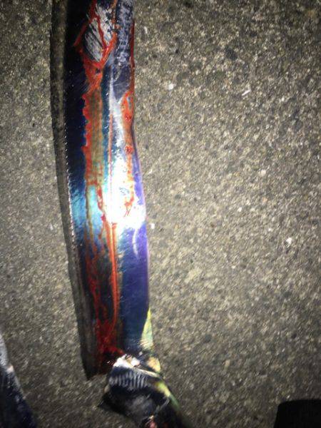 南芦屋浜タチウオ