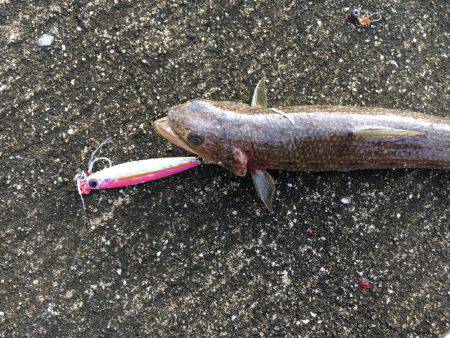 未知との遭遇。笑