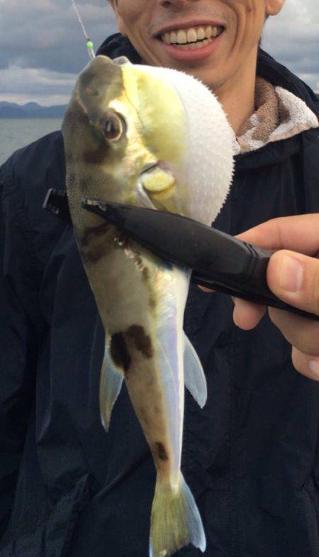 舞鶴2漁港、渋すぎて参った(初投稿)