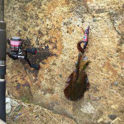 台風並みの暴風の中…