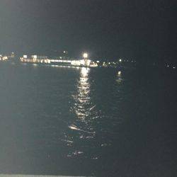 なかなかアオリイカが釣れません