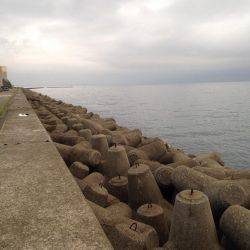 淡路島青物遠征のはずが。