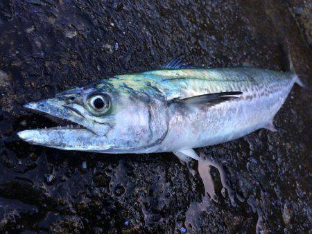 スレキング！！！