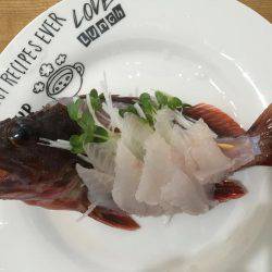 北公園 タチウオ オオアジ