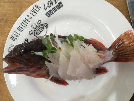 北公園 タチウオ オオアジ