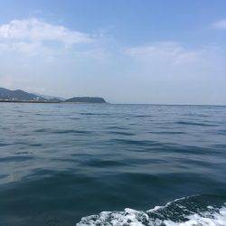 オフショアの釣り