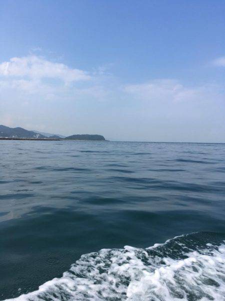 オフショアの釣り