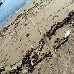 夏の終わりにちょい投げ