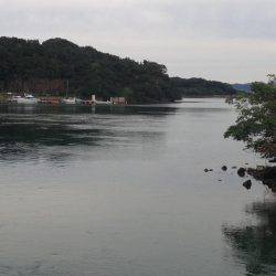 メッキの代わりにカマス