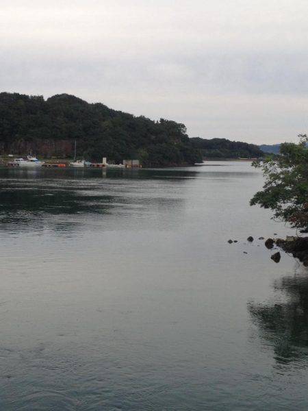 メッキの代わりにカマス