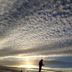 サゴシ狙いショアジギング