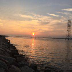 シーバス75センチ