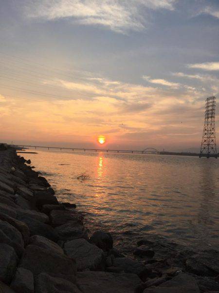 シーバス75センチ