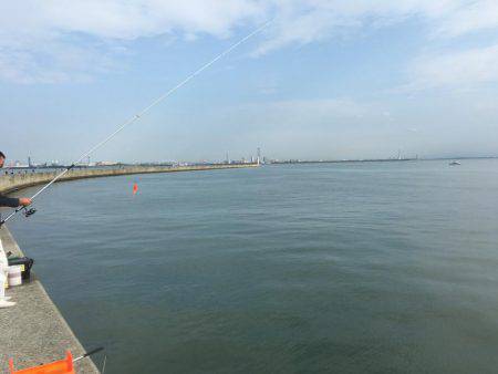 サゴシ、タチウオ、さっぱり(>_<)