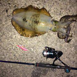 久々に仕事帰り