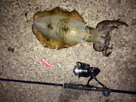 久々に仕事帰り