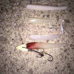 久しぶりでしたが