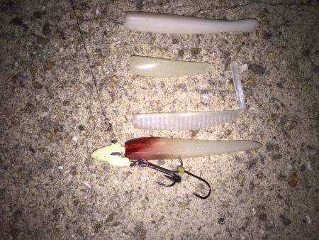 久しぶりでしたが