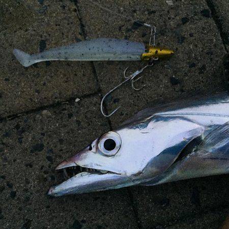 北風太刀 湾奥メッキ