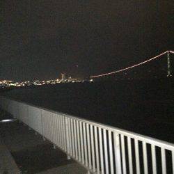 仕事後の弾丸ショアジグ