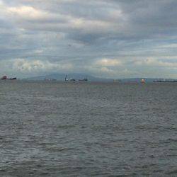 マイポイントで台風後調査